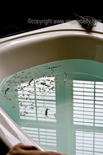 lavender buds in bath tub