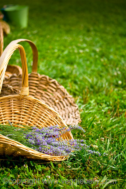 lavender in baskets