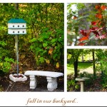 bench-bird-house-and-bird-bath