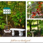 bench-bird-house-and-bird-bath