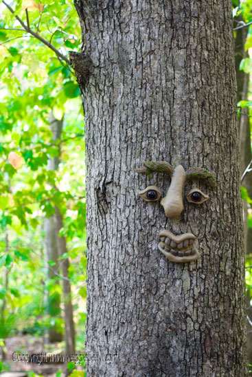 tree-face1