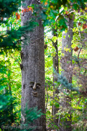 tree-face2