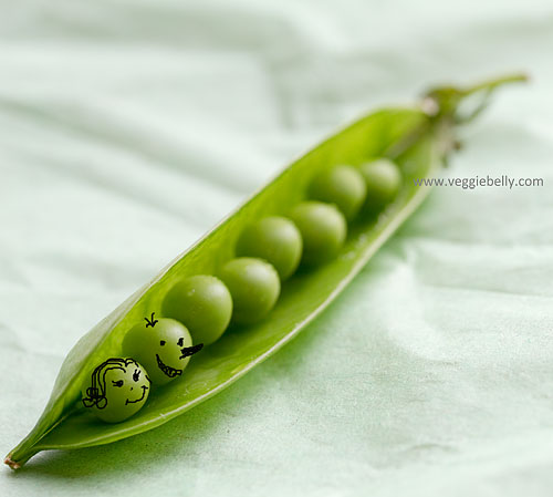 peas in pod. all peas in a pod,