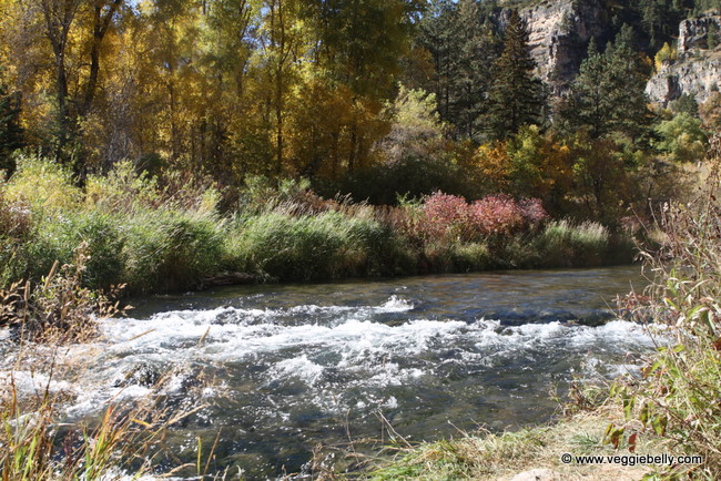 picnic at spearfish canyon SD